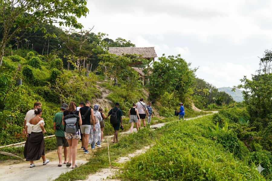Phuket: Half-Day Ethical Elephant with Meal and Transfer - Price and timing: what $80 buys in a 4-hour half day