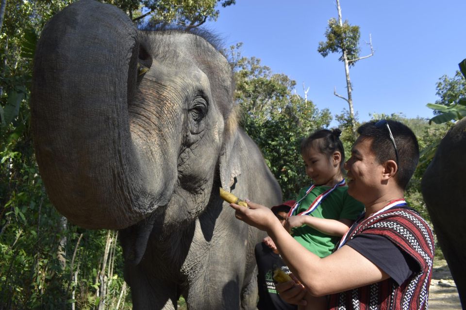 Phuket: Half Day or 2-Hour Ethical Elephant Care Sanctuary - Thai cooking class and meals: why it’s not just filler