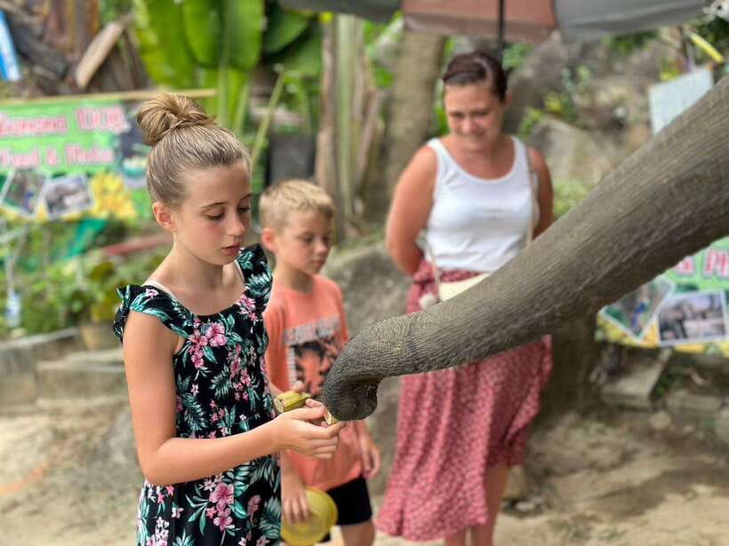 Phuket: Half Day Sightseeing and City Tour with Tour Guide - Hotel pickup and drop-off: what’s included, and where it gets tricky