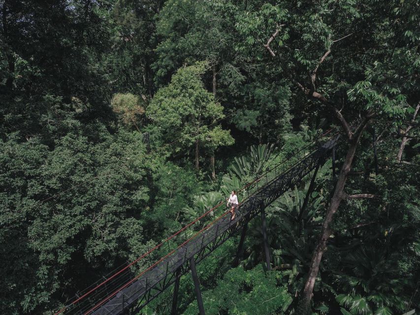 Phuket: Hanuman World Zip Line Adventure - Entering the Hanuman World Adventure Park: Getting From Hotel to Harness