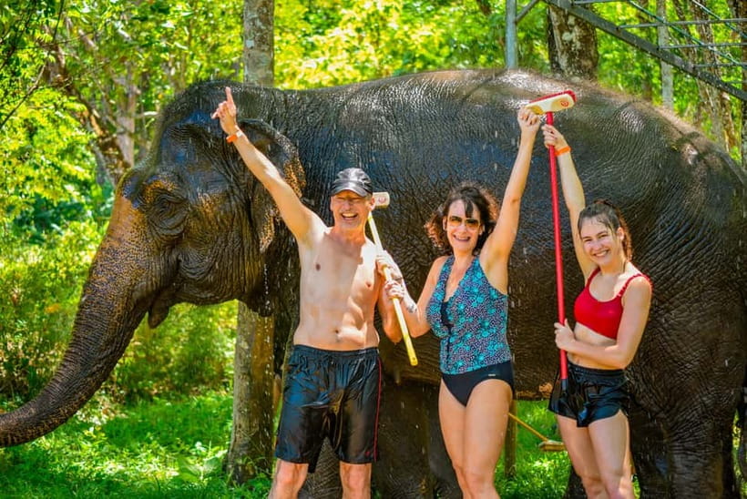 Phuket: Happy Hour Feed and Rain Shower with Elephant - Getting to Lily Elephant Camp Phuket without stress