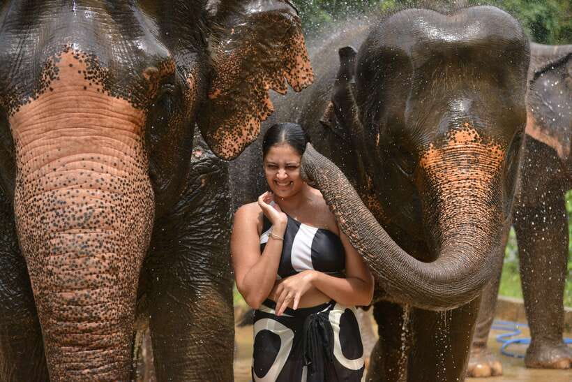Phuket: Happy Hour Feed and Rain Shower with Elephant - Feeding the elephants: hands-on, calm, and guided