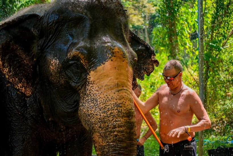 Phuket: Happy Hour Feed and Rain Shower with Elephant - Ethics and elephant care: what “no riding” really changes