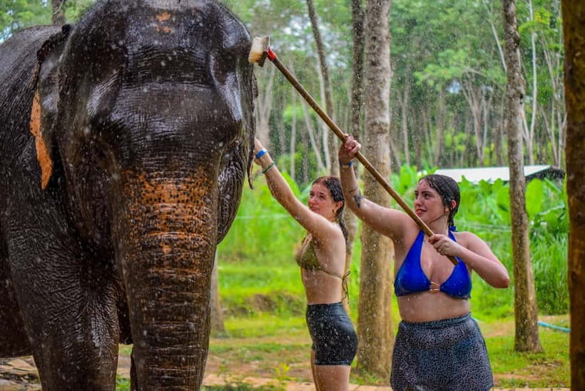Phuket: Happy Hour Feed and Rain Shower with Elephant - Included extras that make the hour more comfortable
