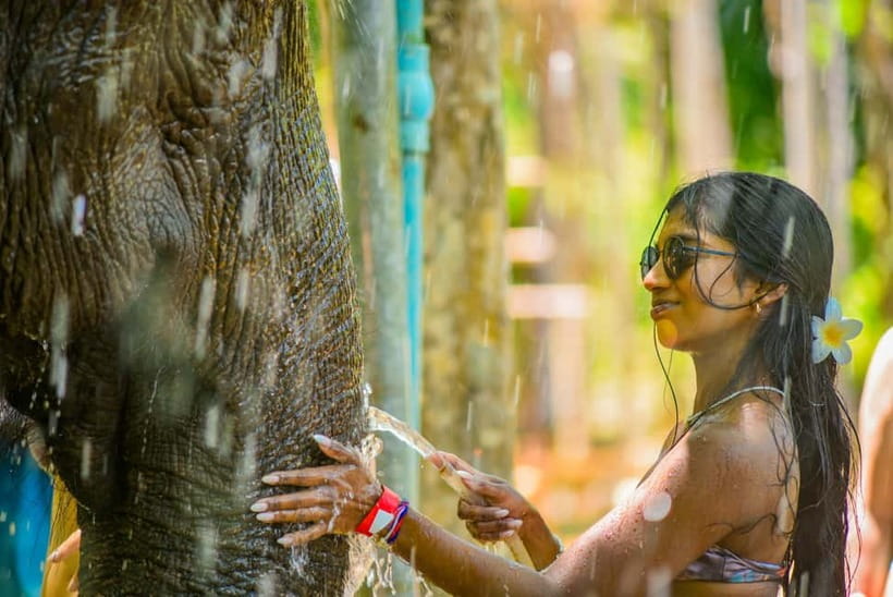 Phuket: Happy Hour Feed and Rain Shower with Elephant - Price and logistics: is $37 actually a good deal?
