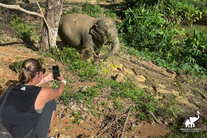 Phuket: Hidden Forest Elephant Reserve Guided Tour with Lunch - The forest trails: great photos, plus some real walking