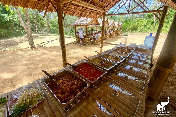 Phuket: Hidden Forest Elephant Reserve Guided Tour with Lunch - Price check: does $99 feel fair for what you get?