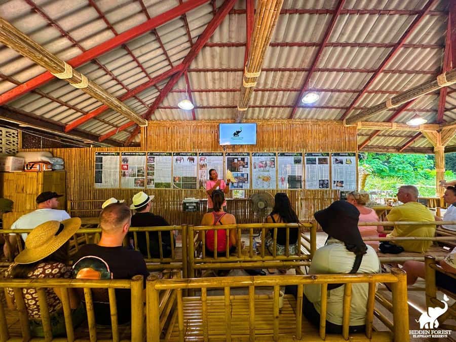 Phuket: Hidden Forest Elephant Reserve with Meal & Transfer - Lunch near elephant viewing: vegetarian food with a purpose