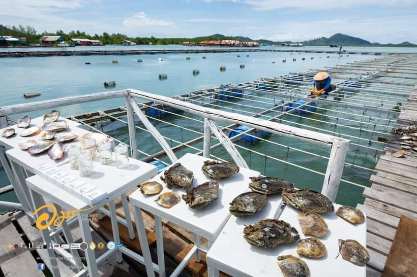 Phuket: Highlights Tour with Pearl Farm & Elephant Village - Wat Chalong: Phuket’s key temple stop