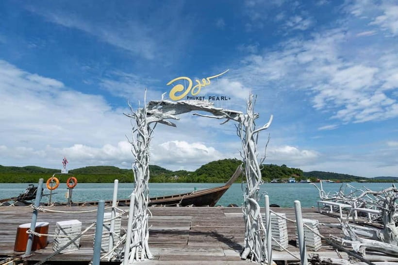 Phuket: Highlights Tour with Pearl Farm & Elephant Village - Why the private car + driver setup matters