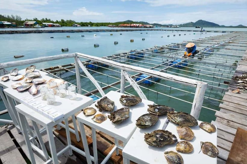 Phuket: Highlights Tour with Pearl Farm & Elephant Village - Who this tour fits best (and who might rethink it)