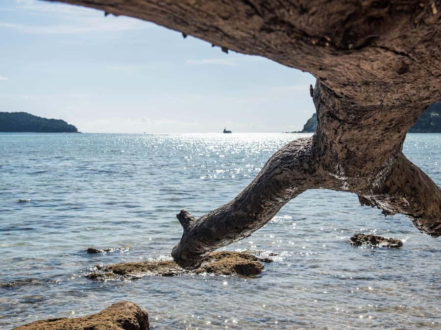 Phuket: James Bond Island Sea Canoe by Speedboat - James Bond Island (Khao Ping Kan & Koh Tapu): iconic photos, real crowds of interest