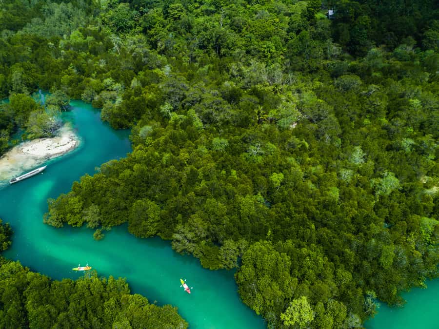 Phuket: James Bonds Island with Lunch and Sea Cave Canoe - Panak Island and cave formations: limestone drama between paddles