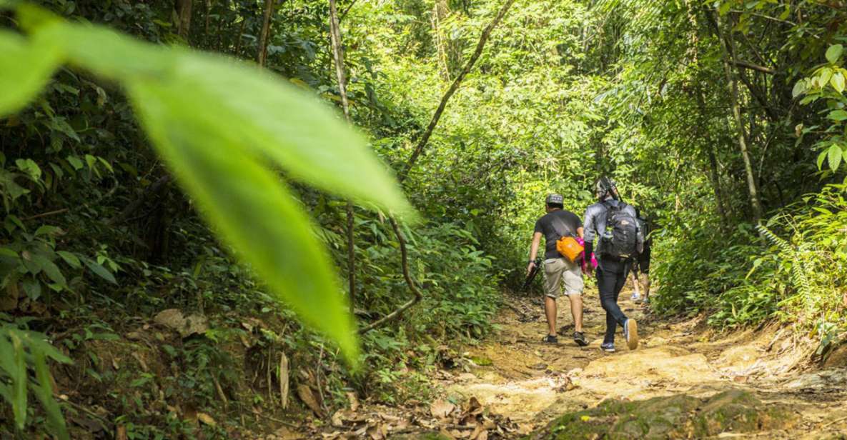 Phuket: Jungle Trekking Experience at Khao Phra Taew - Why Khao Phra Thaeo Jungle Trek Beats Another Beach Day