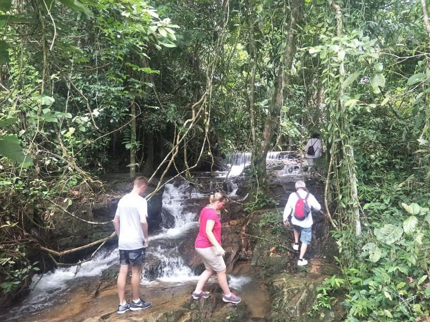 Phuket: Jungle Trekking Experience at Khao Phra Taew - Who This Phuket Trek Is Best For