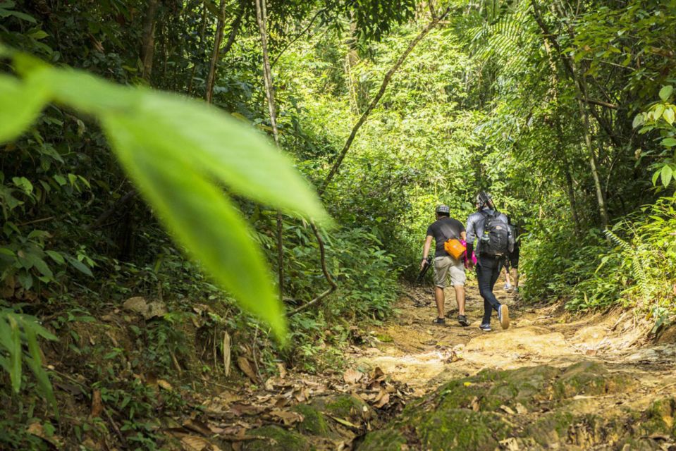 Phuket: Jungle Trekking Experience at Khao Phra Taew - The 8 km Route Between Ton Sai and Bang Pae