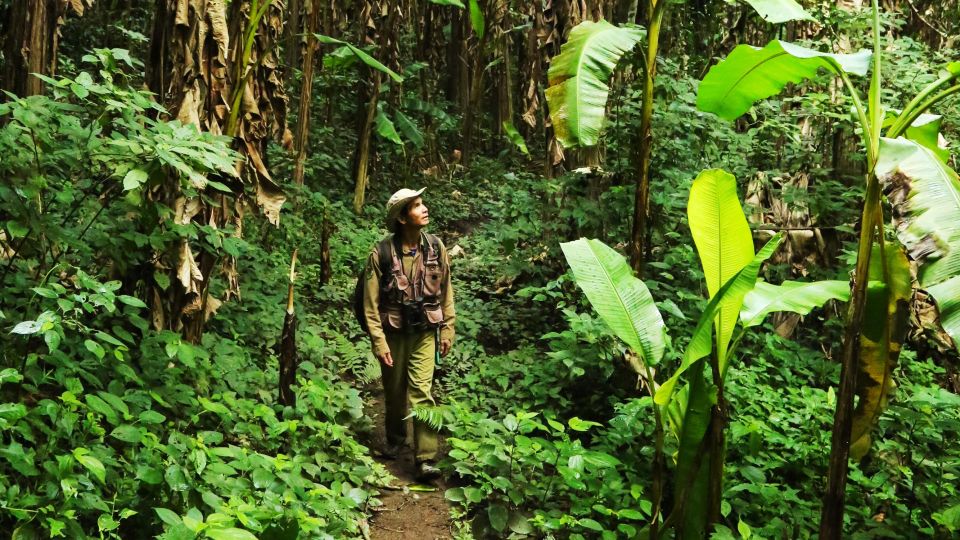 Phuket: Jungle Trekking Experience at Khao Phra Taew - Your Guide Matters: Small Group, English Explanations, Real Thai Expertise