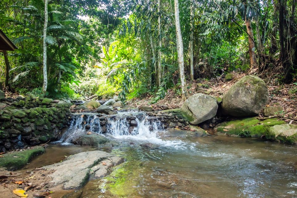 Phuket: Jungle Trekking Experience at Khao Phra Taew - Transfers From Phuket: How the Logistics Actually Feel