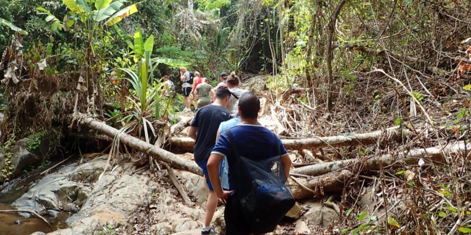 Phuket: Jungle Trekking Experience at Khao Phra Taew - What to Pack (So the Jungle Doesn’t Interrupt Your Fun)