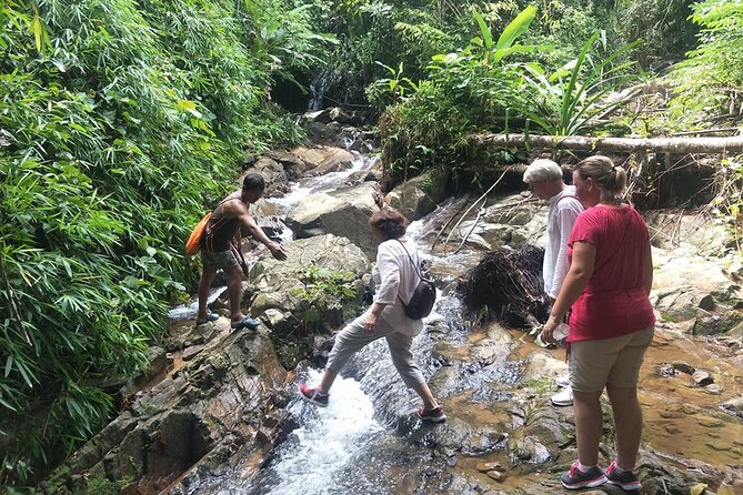 Phuket Jungle Trekking Experience at Khao Phra Taew National Park - Khao Phra Taew: The Phuket Jungle That’s Worth Getting Your Shoes Dirty