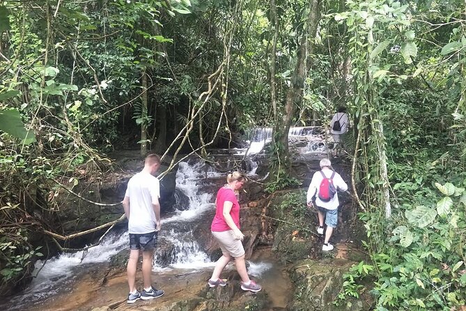 Phuket Jungle Trekking Experience at Khao Phra Taew National Park - Price and Value: Is $82.29 Worth It?