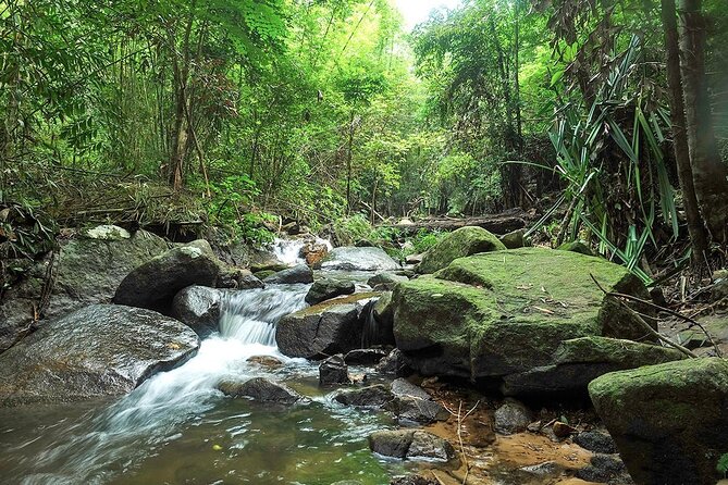 Phuket Jungle Trekking Experience at Khao Phra Taew National Park - The 7:30 AM Start and the Pickup Reality Check