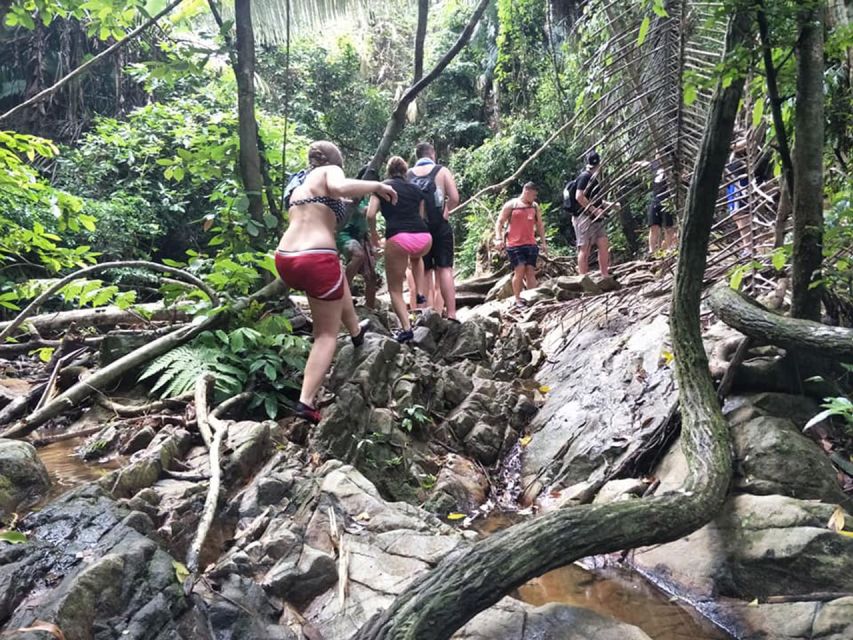 Phuket: Jungle Trekking Experience at Khao Phra Taew - Wildlife Spotting: What You Might See, and What You Shouldn’t Expect