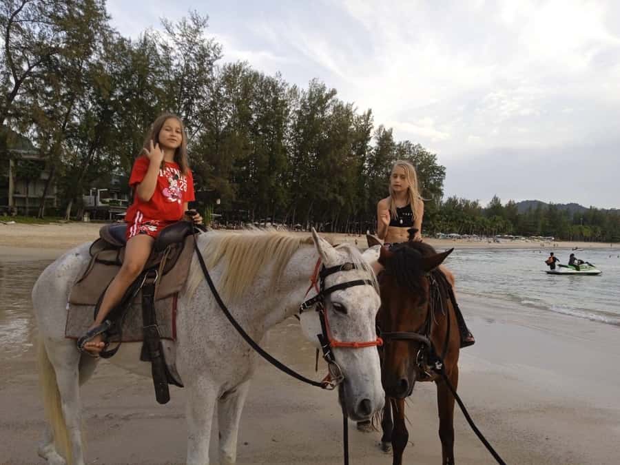 Phuket: Kamala Beach Horse Riding Activity - Pace and control: what walk vs trot really means for first-timers