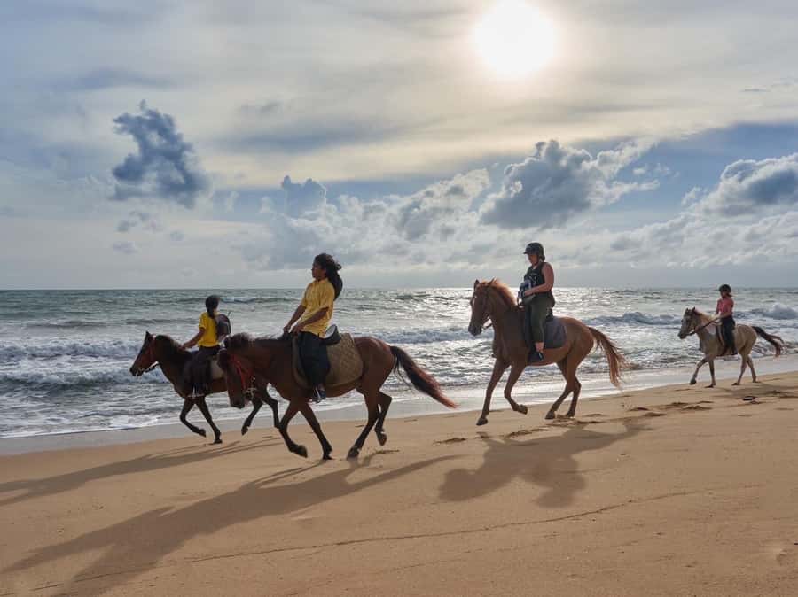 Phuket: Kamala Beach Horse Riding Activity - Meeting Point near Phuket Fantasea: simple, but you must plan your arrival