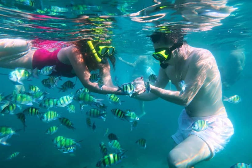 Phuket: Khai Islands Tour Or Scuba Diving Options - Khai Nai Island: guided time, easy snorkeling, and a real swim window
