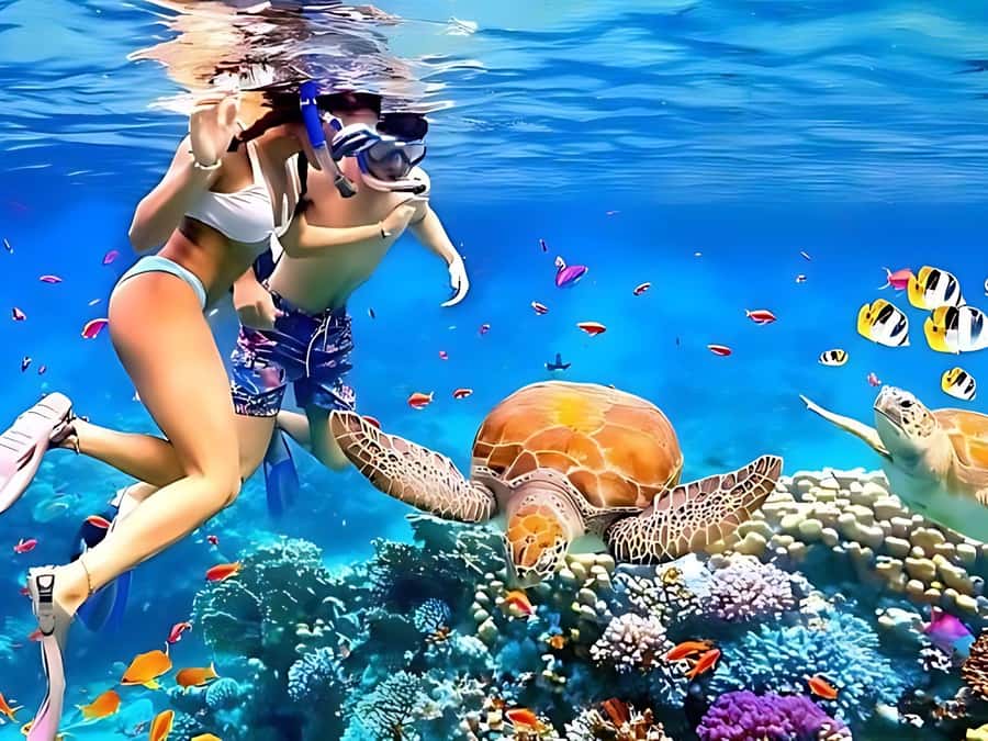 Phuket/Khao Lak: Similan Islands by Speedboat - Honeymoon Reef snorkeling: coral, anemones, and fish spotting