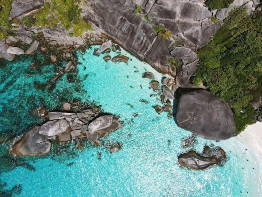 Phuket/Khao Lak: Similan Islands by Speedboat - Sail Rock Viewpoint: the walk that earns the effort