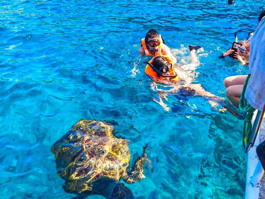 Phuket/Khao Lak: Similan Islands Speedboat Tour with Lunch - Princess Bay And Honeymoon Bay: Walks, Photos, And Clear Water Swim Time