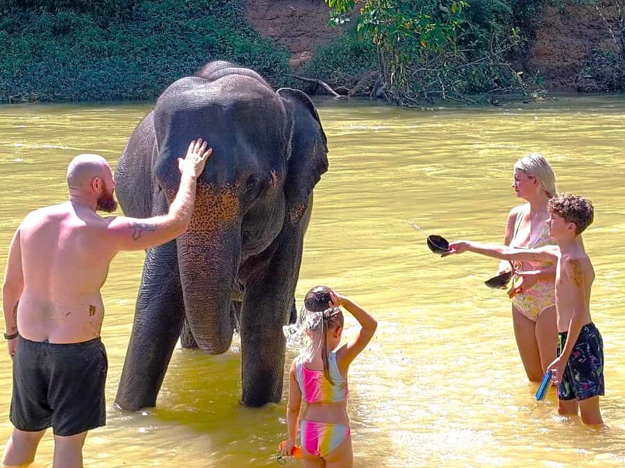 Phuket: Khao Sok Private Elephant Day Care and Bamboo Raft - Thongsuk Elephant Park: meeting the elephants and their rescue stories