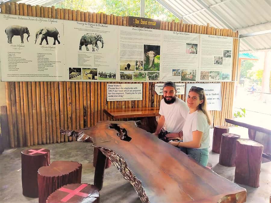 Phuket: Khao Sok Private Elephant Day Care and Bamboo Raft - What to bring for a rain-or-shine elephant and river day