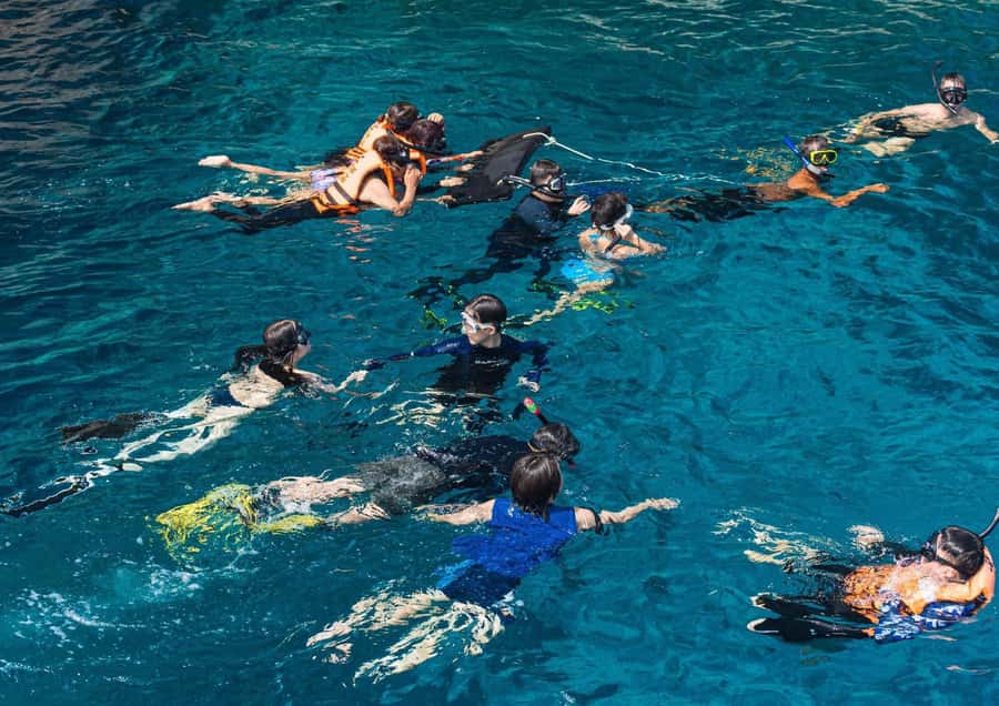 Phuket/Khaolak: Similan Islands Speed Catamaran Premium Trip - Koh Miang: walking between beaches, then playing in shallow water