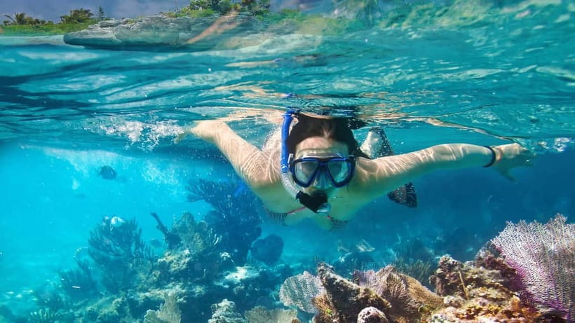 Phuket : Lazy Similan Islands by Catamaran with lunch - What’s included in the price (and why $151 can be worth it)