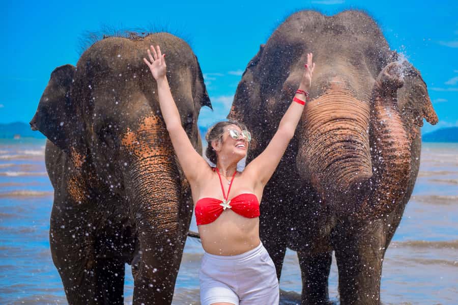 Phuket: Lily Elephant Half day Trip on the Beach with lunch - The Phuket Elephant Choice That Feels Grounded, Not Showy