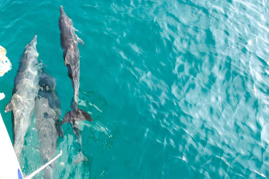 Phuket: Maiton, Coral, and Racha Island Snorkeling Trip - Who This Trip Fits Best (and Who Should Skip It)