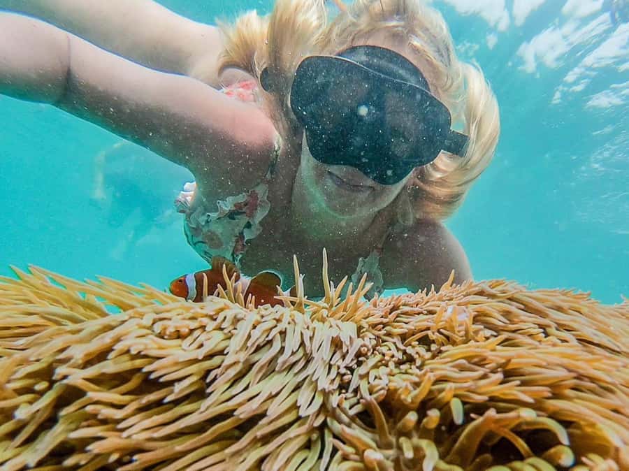 Phuket: Maya Bay, Phi Phi, and Bamboo Island Full-Day Trip - Maya Bay + Loh Samah Bay: White Sand Meets Movie Lore