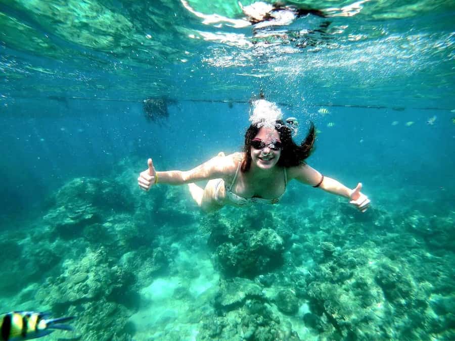 Phuket: Maya Bay, Phi Phi, and Bamboo Island Full-Day Trip - The Morning Logistics: Pickup, Pier, and a 09:00 Departure
