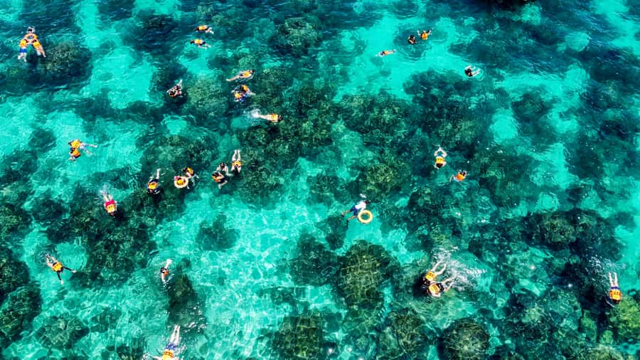 Phuket: Maya, Phi Phi, and Bamboo Island with Buffet Lunch - Speedboat Day Trip Value: Why This One Costs $61