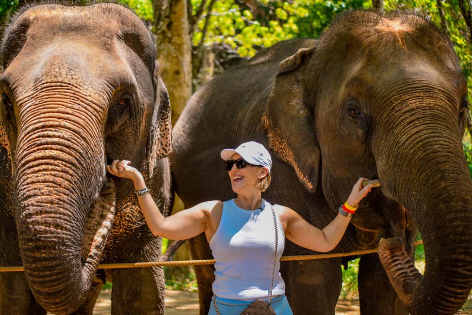 Phuket: Meet Feed & Relax with Elephant - Getting There: Lily Elephant Camp and the Pickup Reality