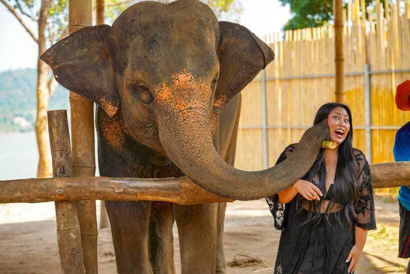 Phuket: Meet Feed & Relax with Elephant - Timing Your Day: How to Choose a Slot That Feels Worth It