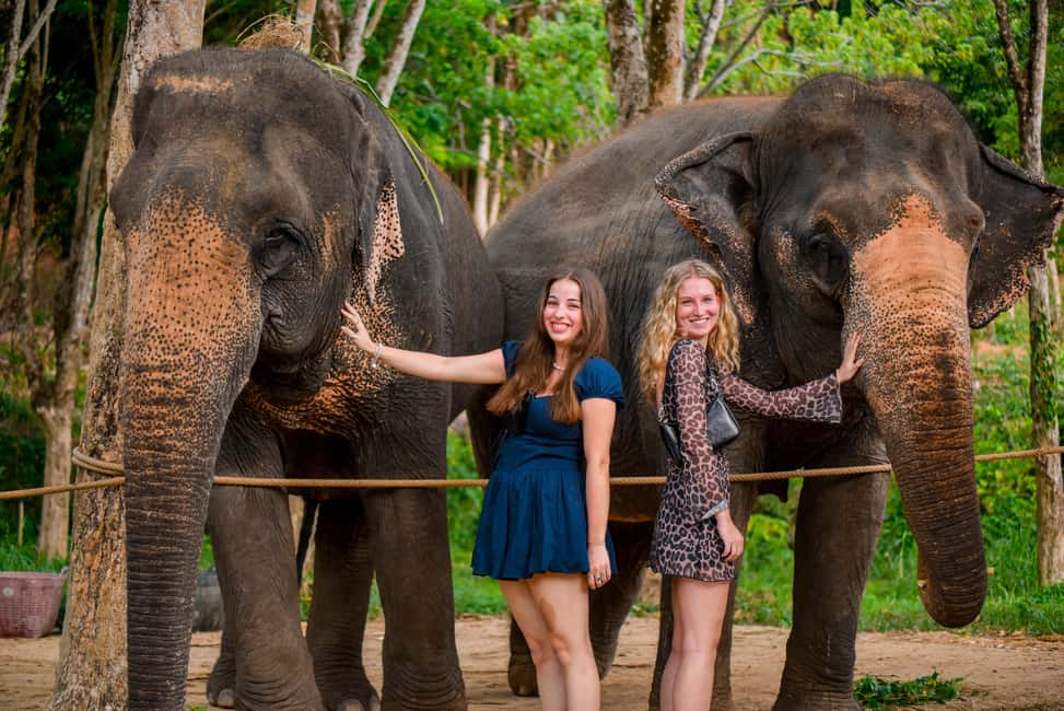 Phuket: Meet Feed & Relax with Elephant - What the Feed-and-Learn Program Really Focuses On
