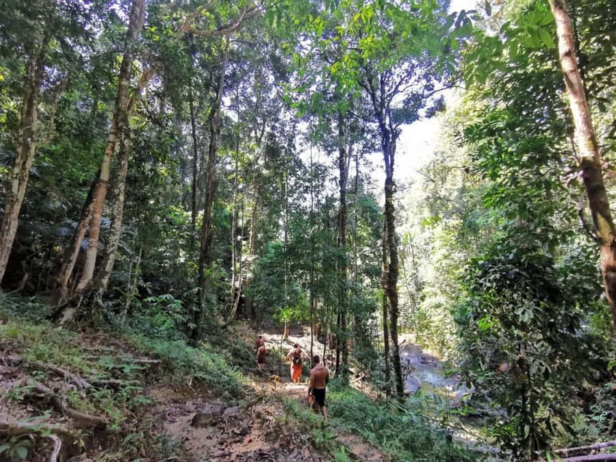 Phuket: Monkey Cave, Water Rafting, Zipline with ATV Option - Who This Tour Suits Best (And Who Should Skip It)