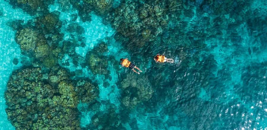 Phuket or Khao Lak: Surin Islands & Moken Village Day Trip - The Nemo or Pineapple Gulf + Twin Beach: the first big snorkeling moment