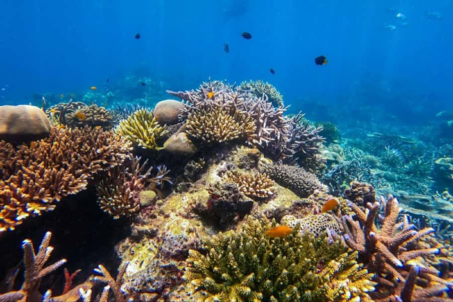 Phuket or Khao Lak: Surin Islands & Moken Village Day Trip - Sea-gypsy Moken Village: what you’ll learn and how to be respectful