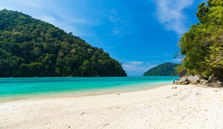 Phuket or Khao Lak: Surin Islands & Moken Village Day Trip - Lunch at Mu Koh Surin National Park: a practical reset
