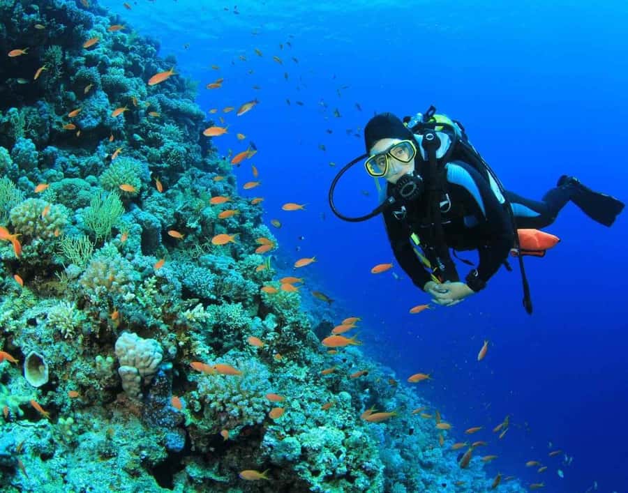 Phuket: PADI Advanced Open Water Course 2 days/6 Dives - Day 2: navigation, depth work, and adventure-style sessions